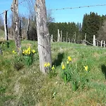 In