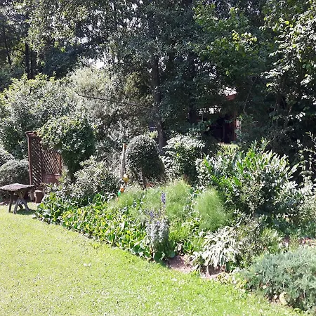 アパート Forest Hideaway