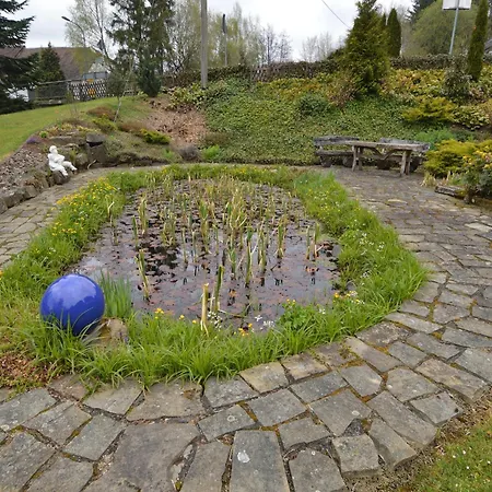 Forest Hideaway アパート Sellerich