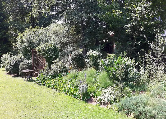 Apartment Forest Hideaway