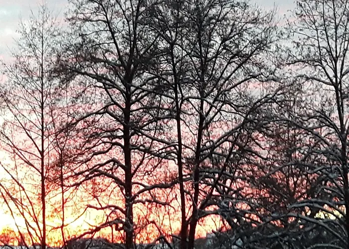 Apartment Forest Hideaway Sellerich