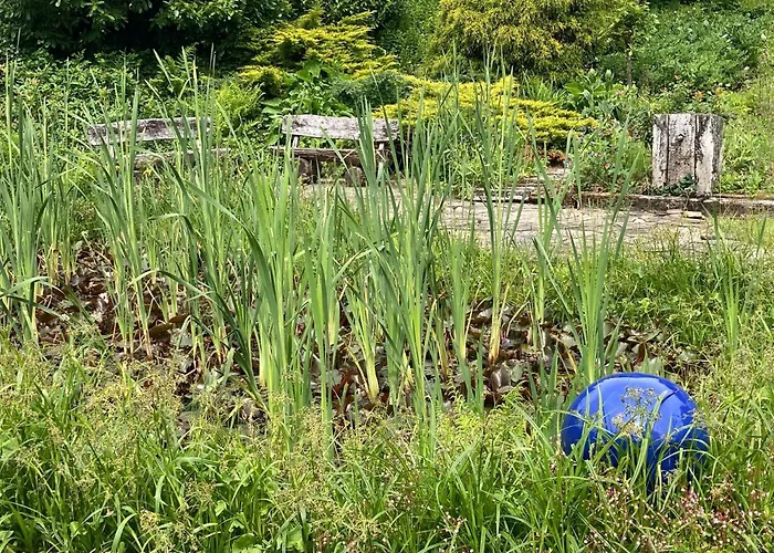 Forest Hideaway Apartment *